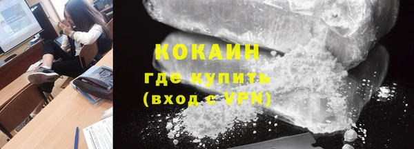 ГАЛЛЮЦИНОГЕННЫЕ ГРИБЫ Богданович