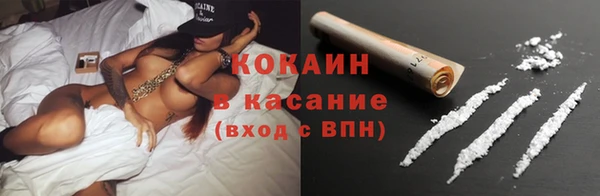 ГАЛЛЮЦИНОГЕННЫЕ ГРИБЫ Богданович
