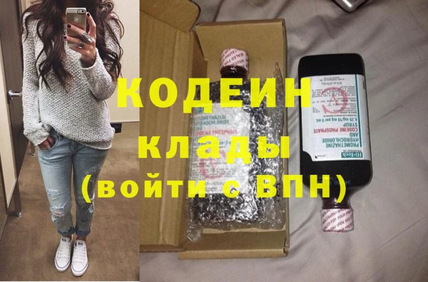 ГАЛЛЮЦИНОГЕННЫЕ ГРИБЫ Богданович