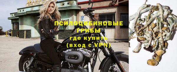МДМА Богородицк