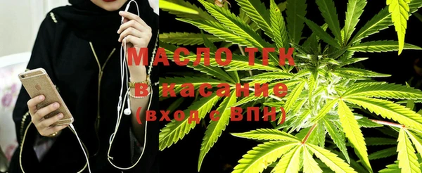 ГАЛЛЮЦИНОГЕННЫЕ ГРИБЫ Богданович