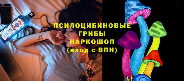 ГАЛЛЮЦИНОГЕННЫЕ ГРИБЫ Богданович
