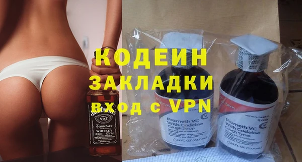 ГАЛЛЮЦИНОГЕННЫЕ ГРИБЫ Богданович