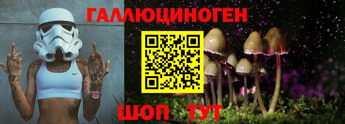 Великий Устюг  Псилоцибиновые грибы MAGIC MUSHROOMS  Вход с VPN 