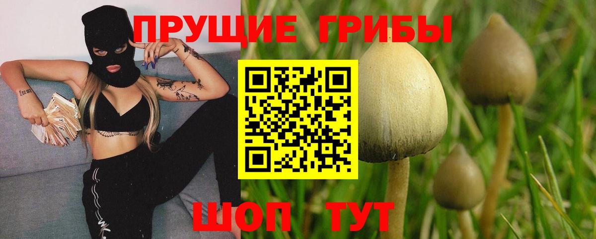 Псилоцибиновые грибы GOLDEN TEACHER Великий Устюг